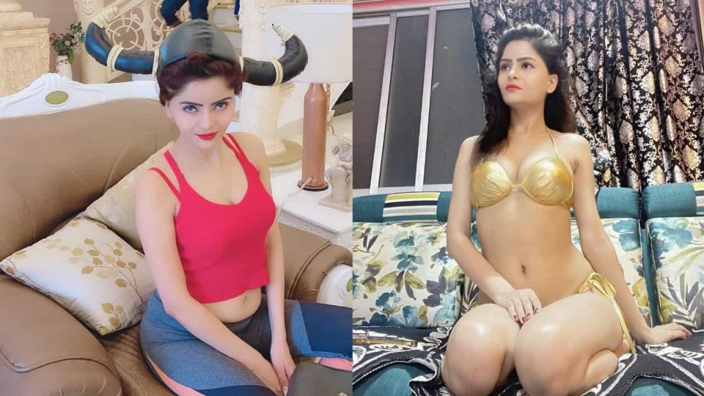 Gehana Vasisth wiki bio phone number website age