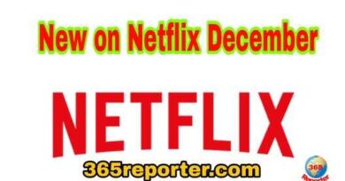 New on Netflix December